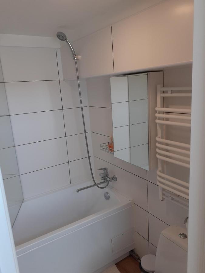 Lovely 1-Bedroom Apartment In Kaunas Old Town Exteriér fotografie